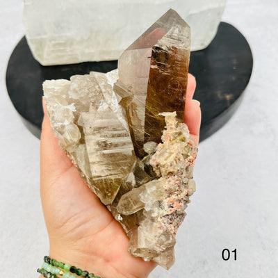 Natural Smoky Quartz Cluster with Rutilated inclusions. Option 01 in hand for size reference 