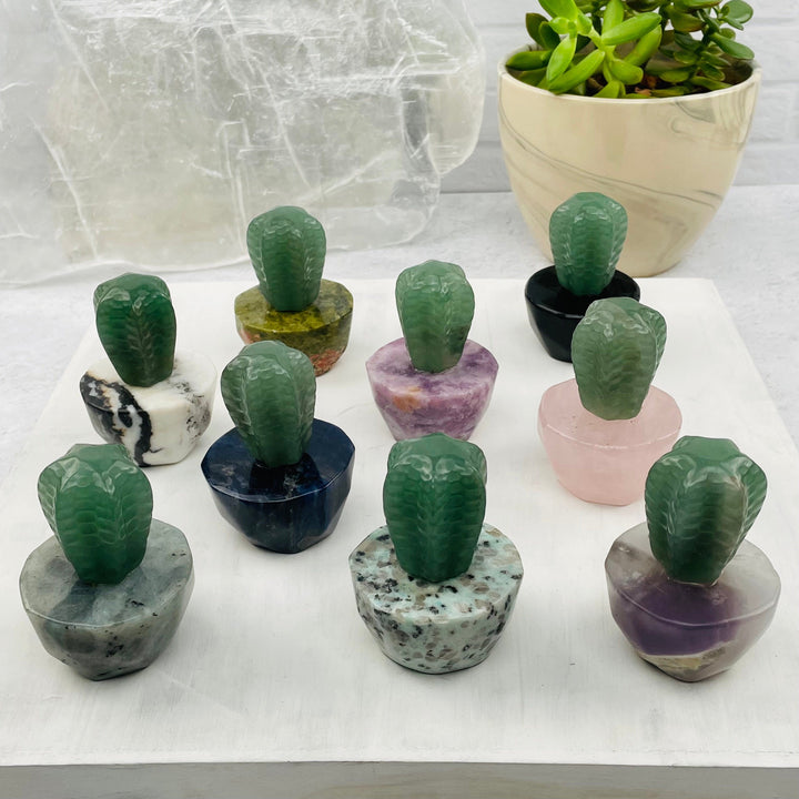 Cactus Crystals