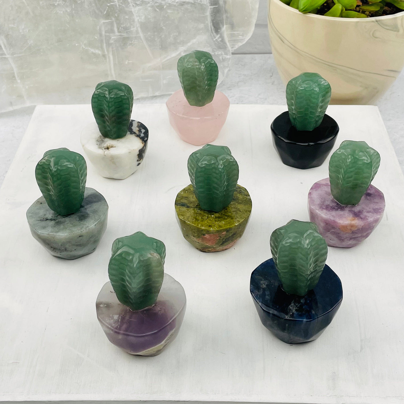 multiple cactuses displayed to show the differences in the crystal color shades 