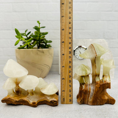 Calcite Crystal Mushroom Display next to a ruler for size reference
