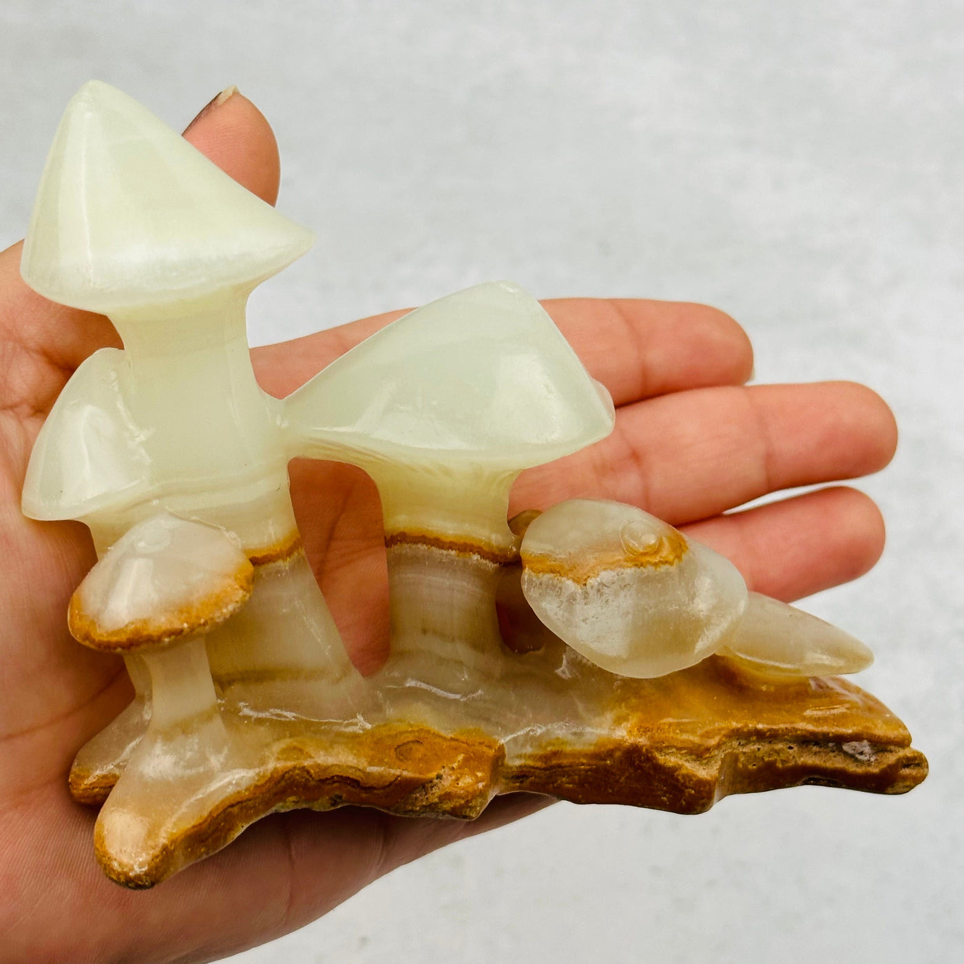 Calcite Crystal Mushroom Display in hand for size reference 