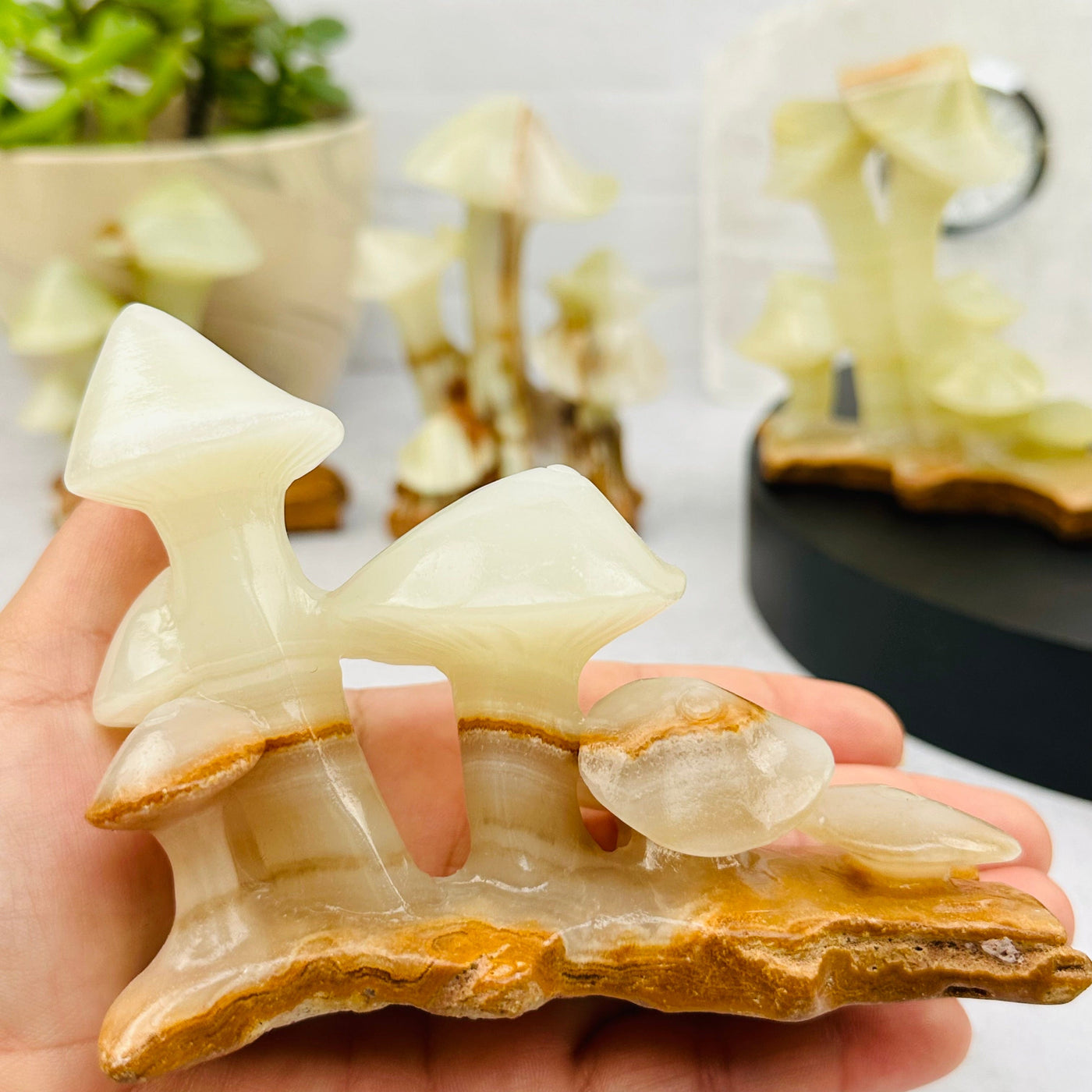 Calcite Crystal Mushroom Display in hand for size reference 
