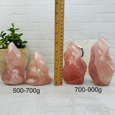 Rose Quartz Flame Tower - By Weight - next to a ruler for size reference 