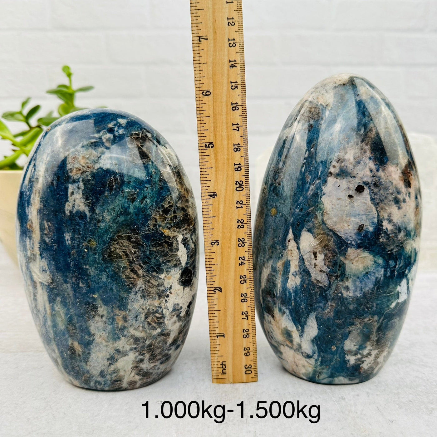 Dumortierite Cut base - By Weight - next to a ruler for size reference