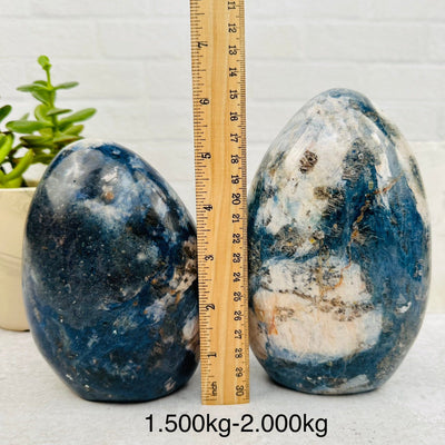 Dumortierite Cut base - By Weight - next to a ruler for size reference