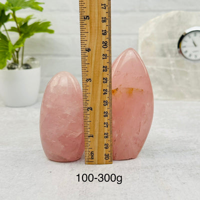 Rose Quartz Cut Base - By Weight - next to a ruler for size reference 