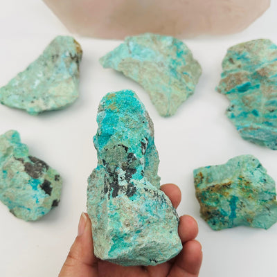 AAA Quality Rough Turquoise with Chrysocolla Crystal - Rare Find!