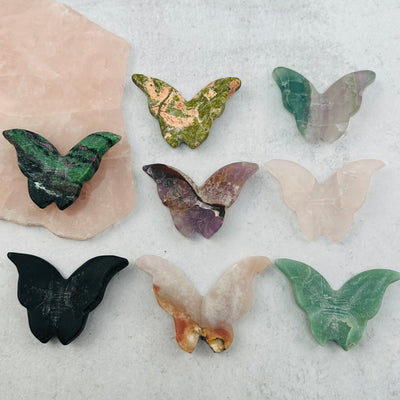 butterflies displayed to show the differences in the color shades 