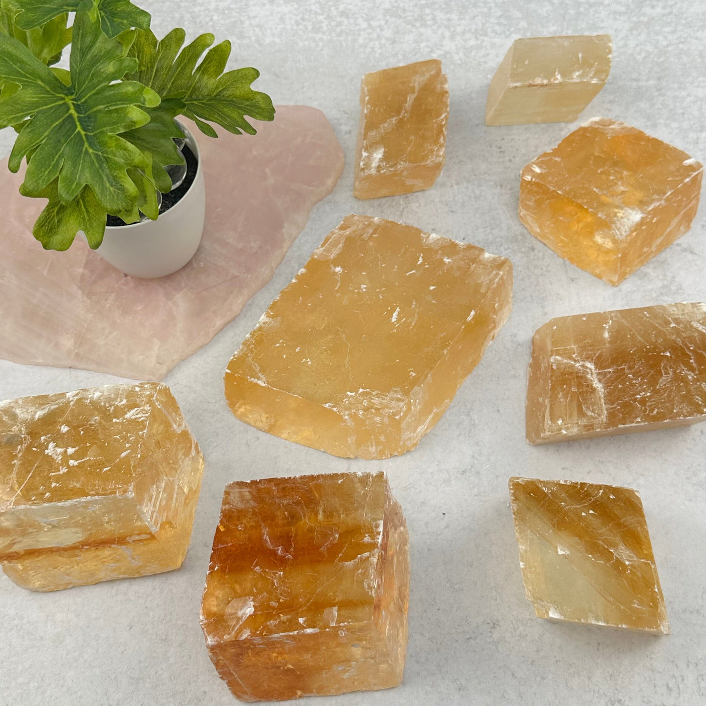 multiple Yellow Optical Calcite displayed to show the differences in the sizes and color shades 