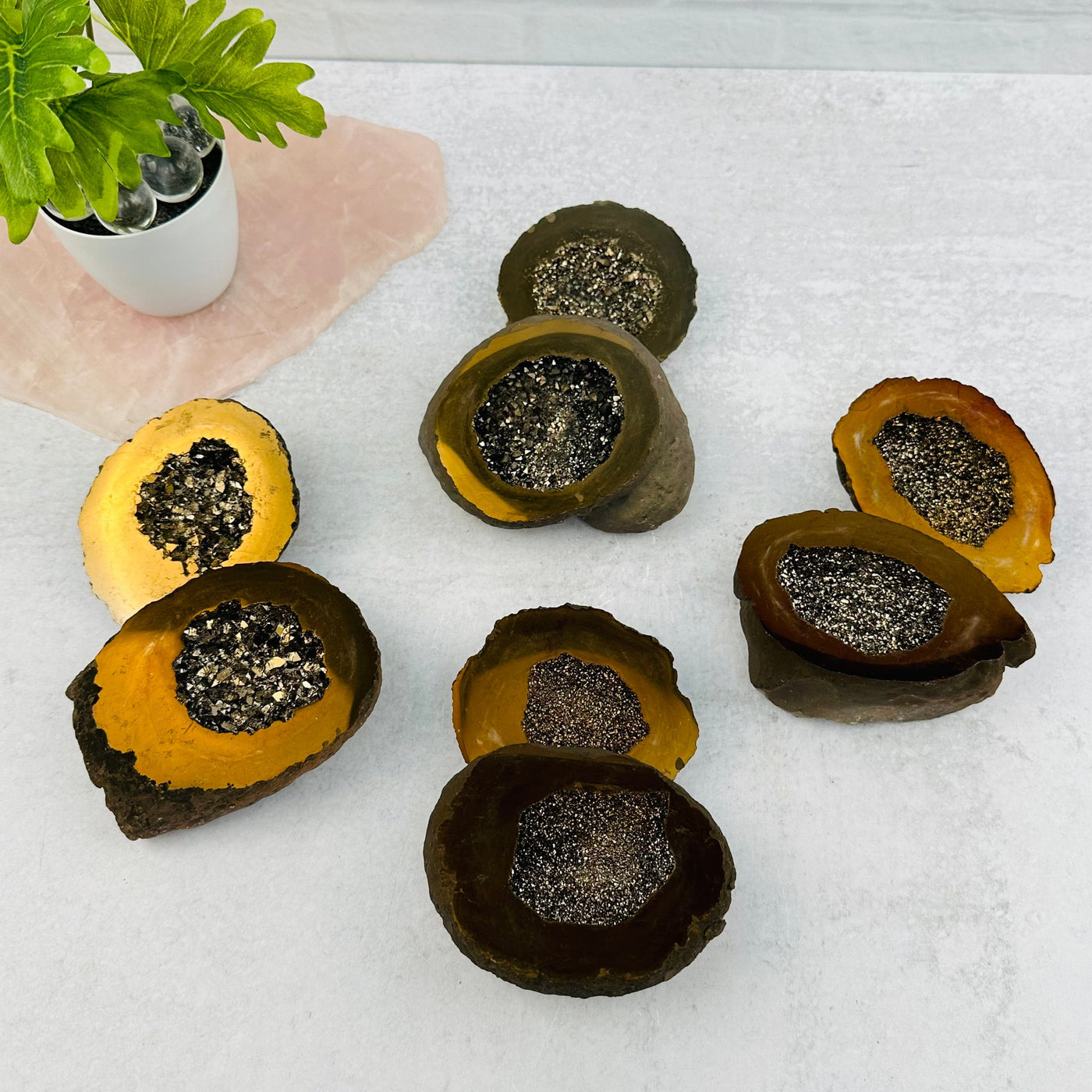 multiple geode boxes displayed to show the differences in the color shades and sizes 