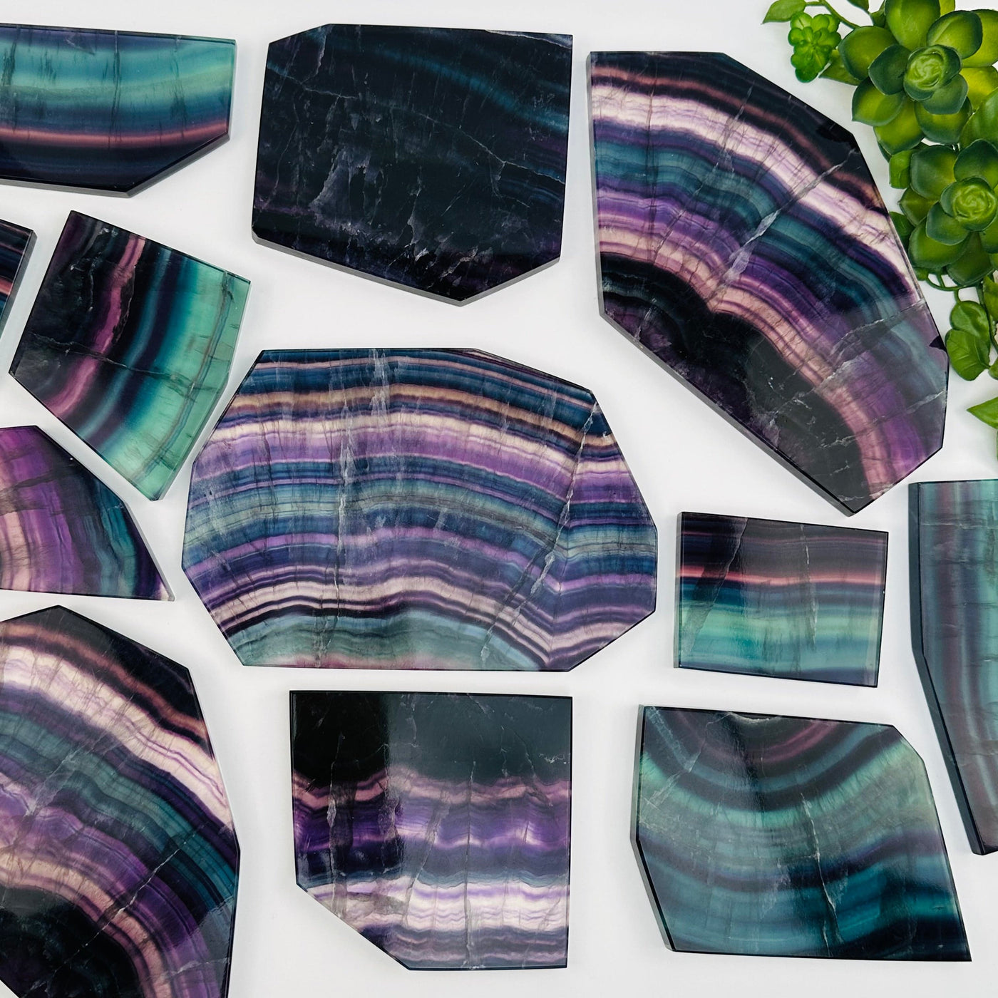 multiple fluorite slabs displayed to show the differences in the color shades and sizes 