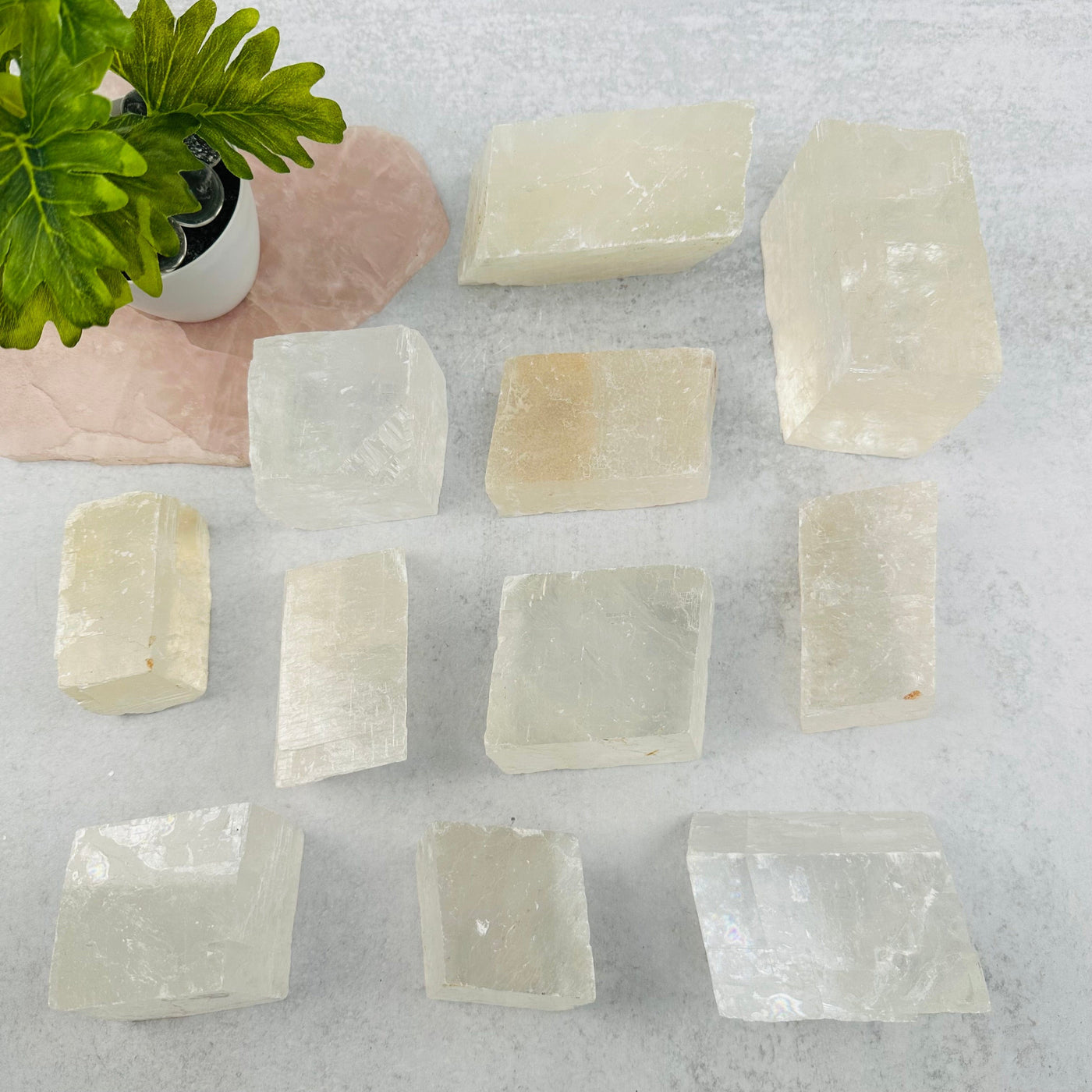 multiple Optical Calcite - White - displayed to show the differences in the sizes 