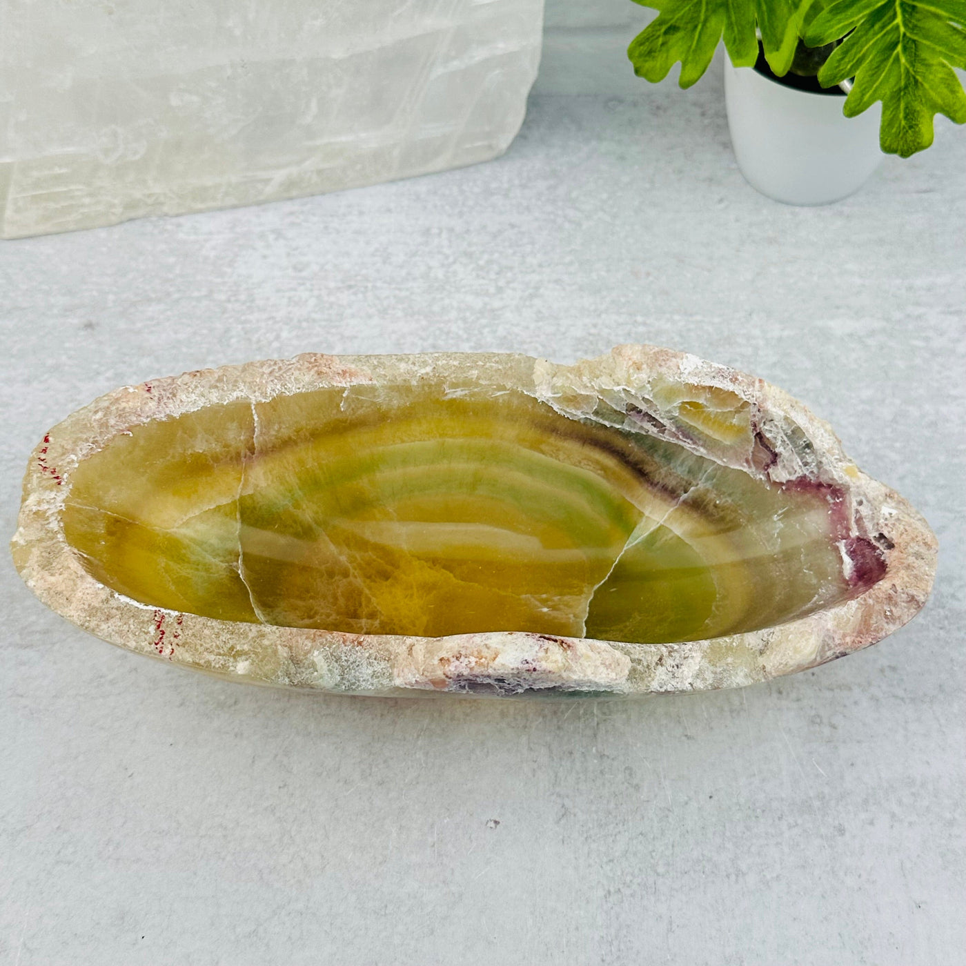 Fluorite Polished Bowl from Mexico