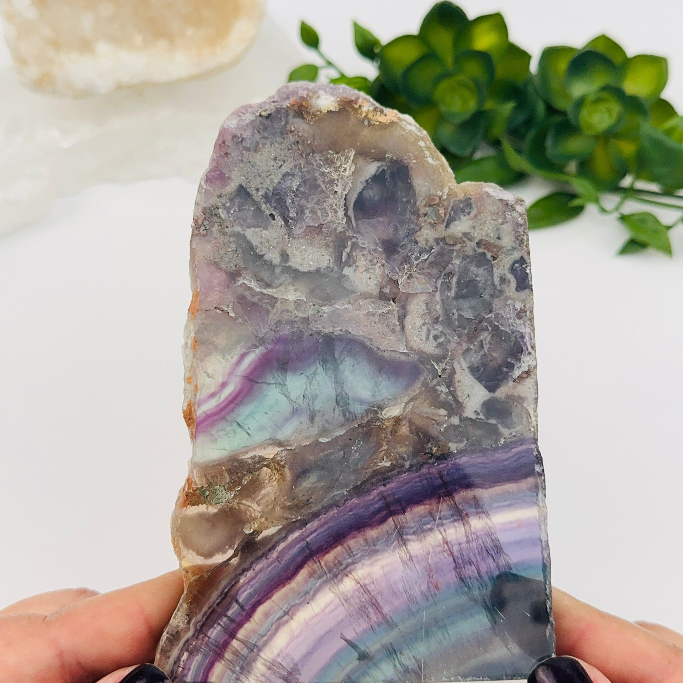 close up of the details on this fluorite semi polished crystal slab 