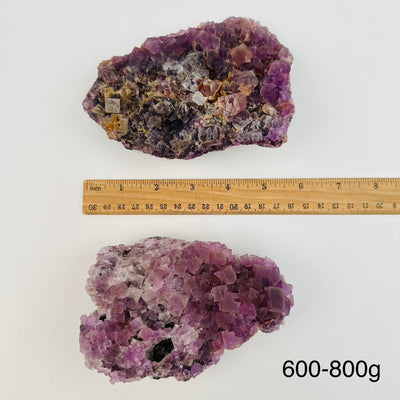 fluorite crystal clusters sold by weight. displayed next to a ruler for size reference 