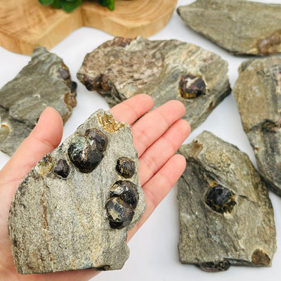 Garnet Crystals in Mica Schist