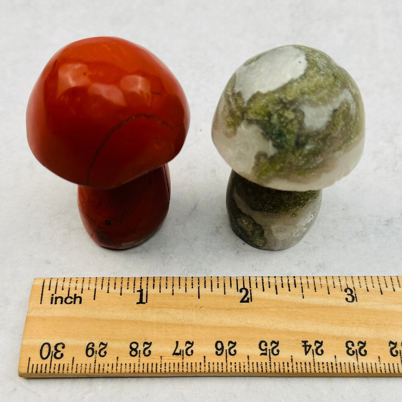 Gemstone Mushroom next to a ruler for size reference 