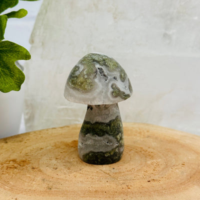 Gemstone Mushroom displayed as home decor 