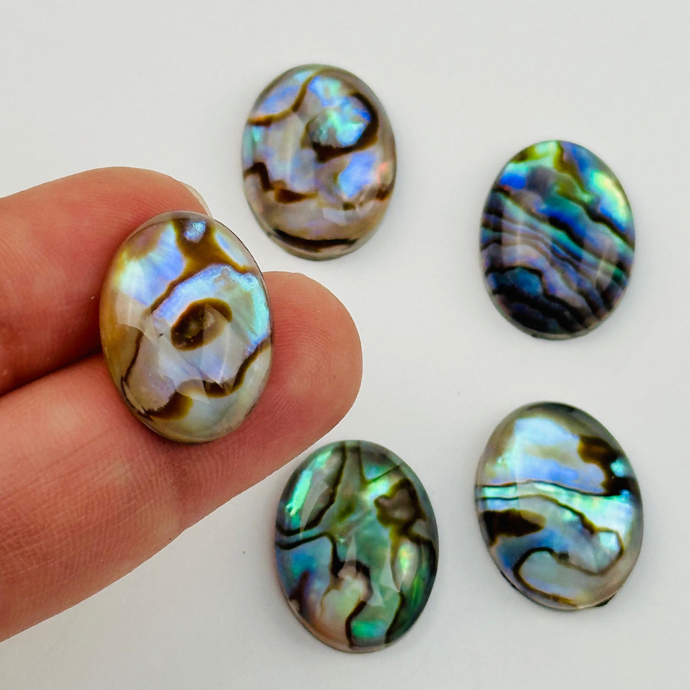 Abalone Oval Cabochon in hand for size reference 