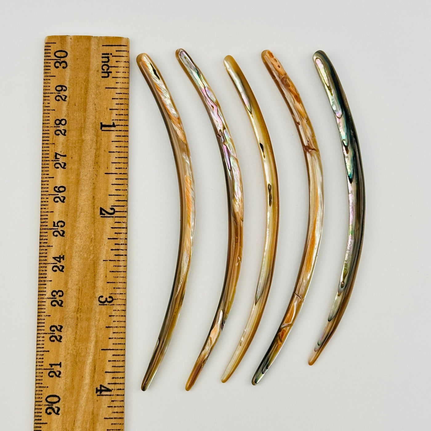 abalone beads displayed next to a ruler for size reference 