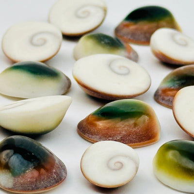 side view to show the thickness 