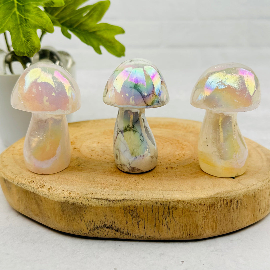 Angel buy Aura Lg Ocean Jasper Mushroom, Stone For Happiness