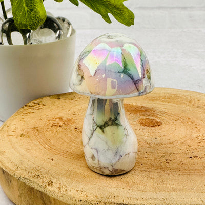 gemstone mushroom displayed as home decor