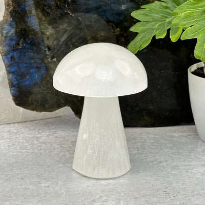 Selenite Crystal Mushroom displayed as home decor 