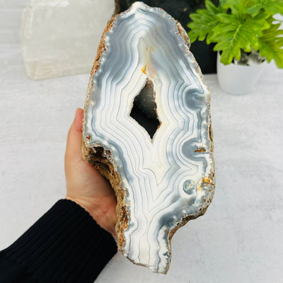 Agate Geode with White Banding in hand for size reference 