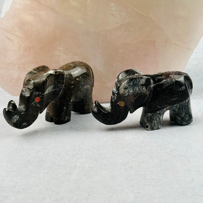 Orthoceras Polished Elephants displayed as home decor 