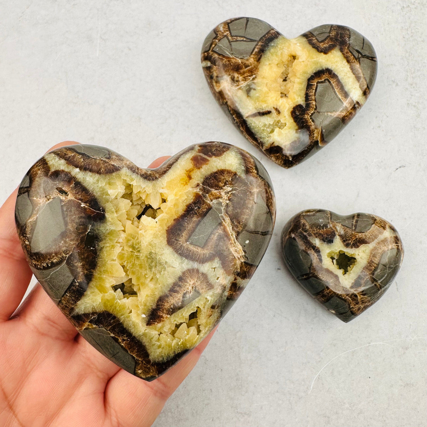 close up of the details on this septarian heart