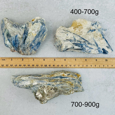 Blue Kyanite Freeform - Rough Natural Stone - By Weight - next to a ruler for size reference 