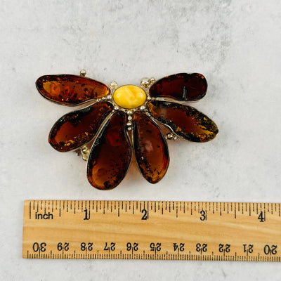 amber pendant next to a ruler for size reference 