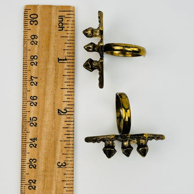 rings displayed next to a ruler for size reference  