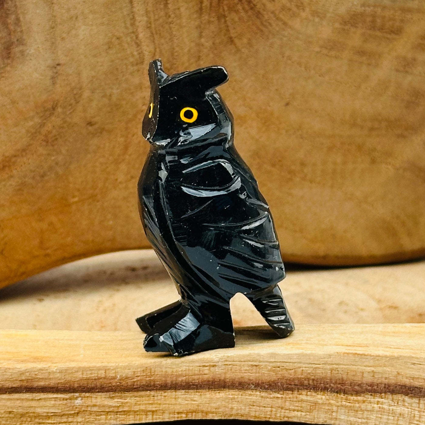close up of the details on this black soapstone owl