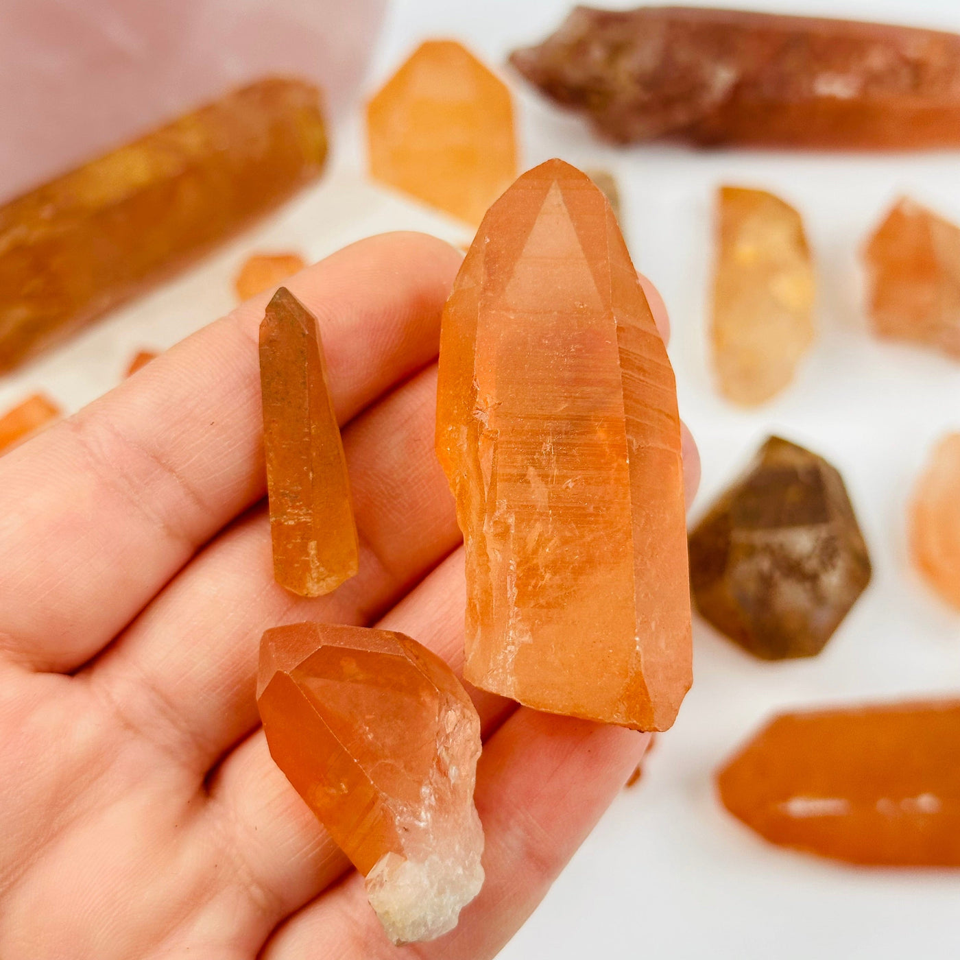 Lemurian Tangerine Quartz Points in hand for size reference 