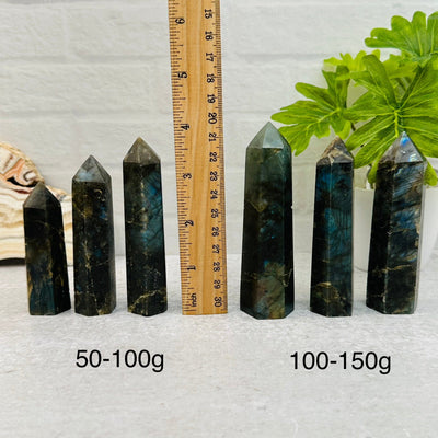 Labradorite Polished Points - By Weight - next to a ruler for size reference 