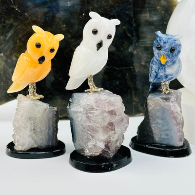 multiple gemstone owls on amethyst bases displayed to show the differences in the crystal types
