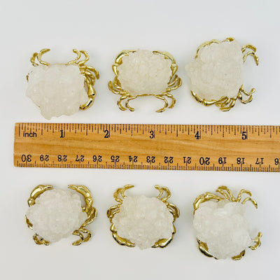 Crystal Quartz Cluster Gemstone Crabs next to a ruler for size reference 