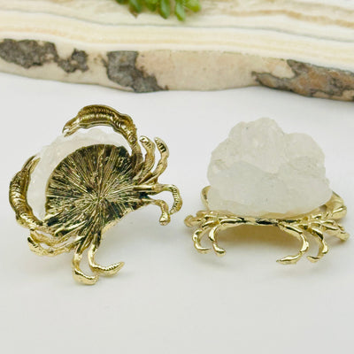 close up of the bottom of the crystal cluster crab 