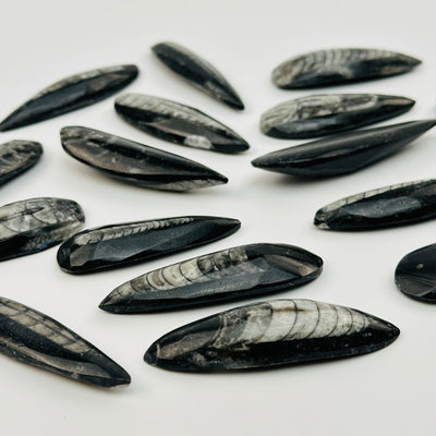 side view to show the thickness 