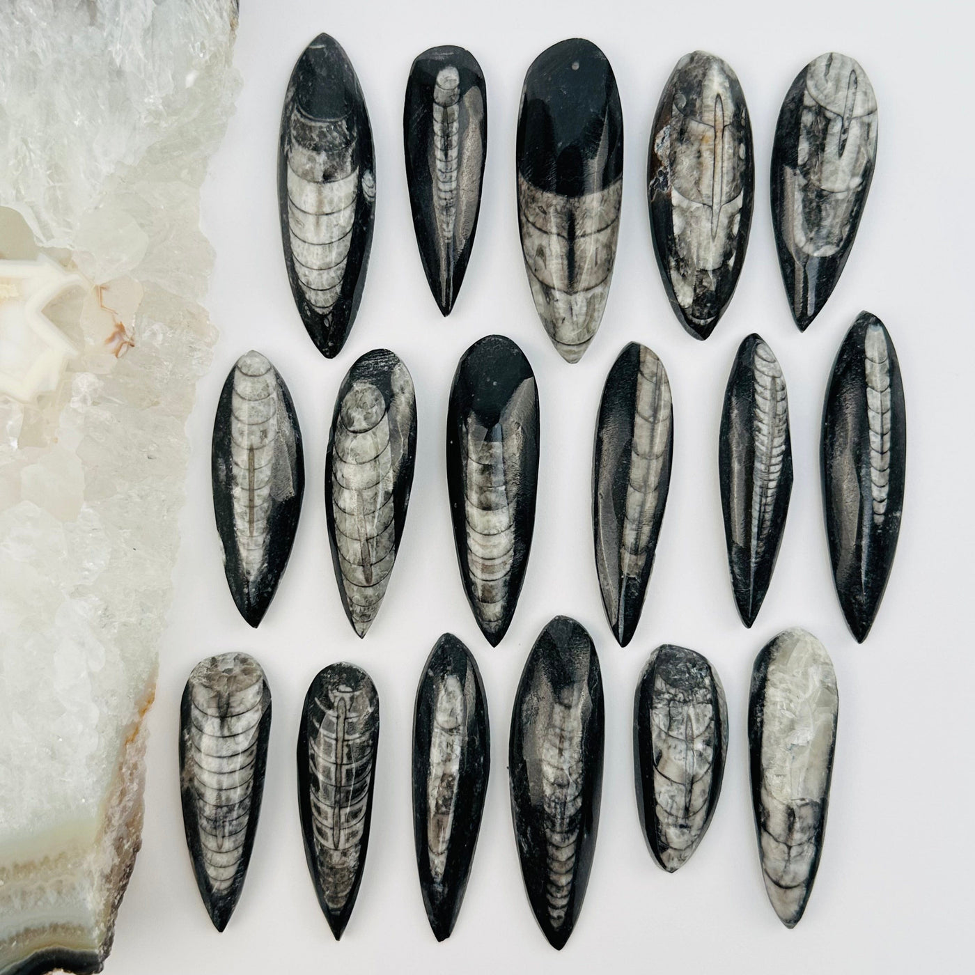 multiple cabochons displayed to show the differences in the sizes and pattens 