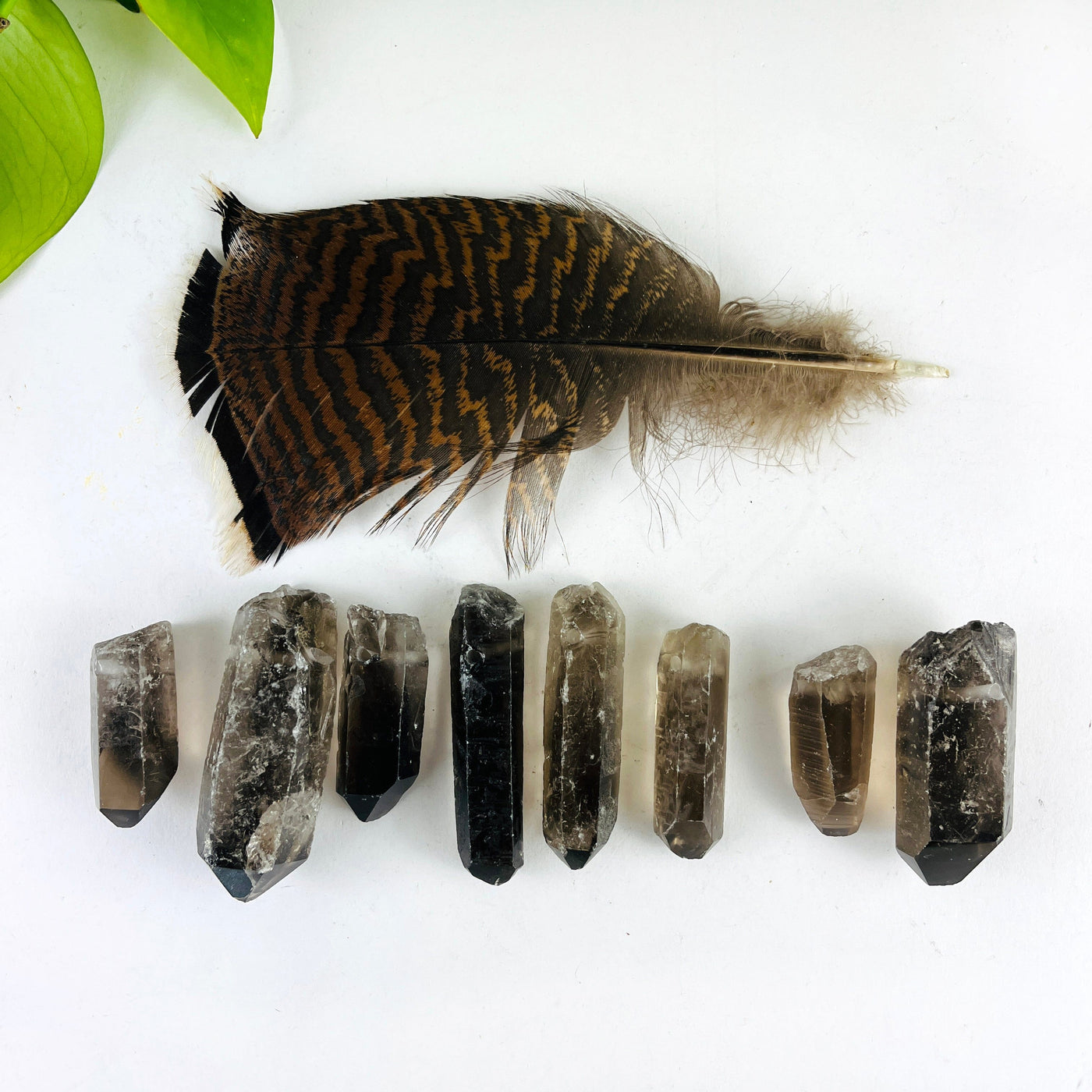 8 Raw Smoky Quartz Crystal Point Pendants lined up side by side