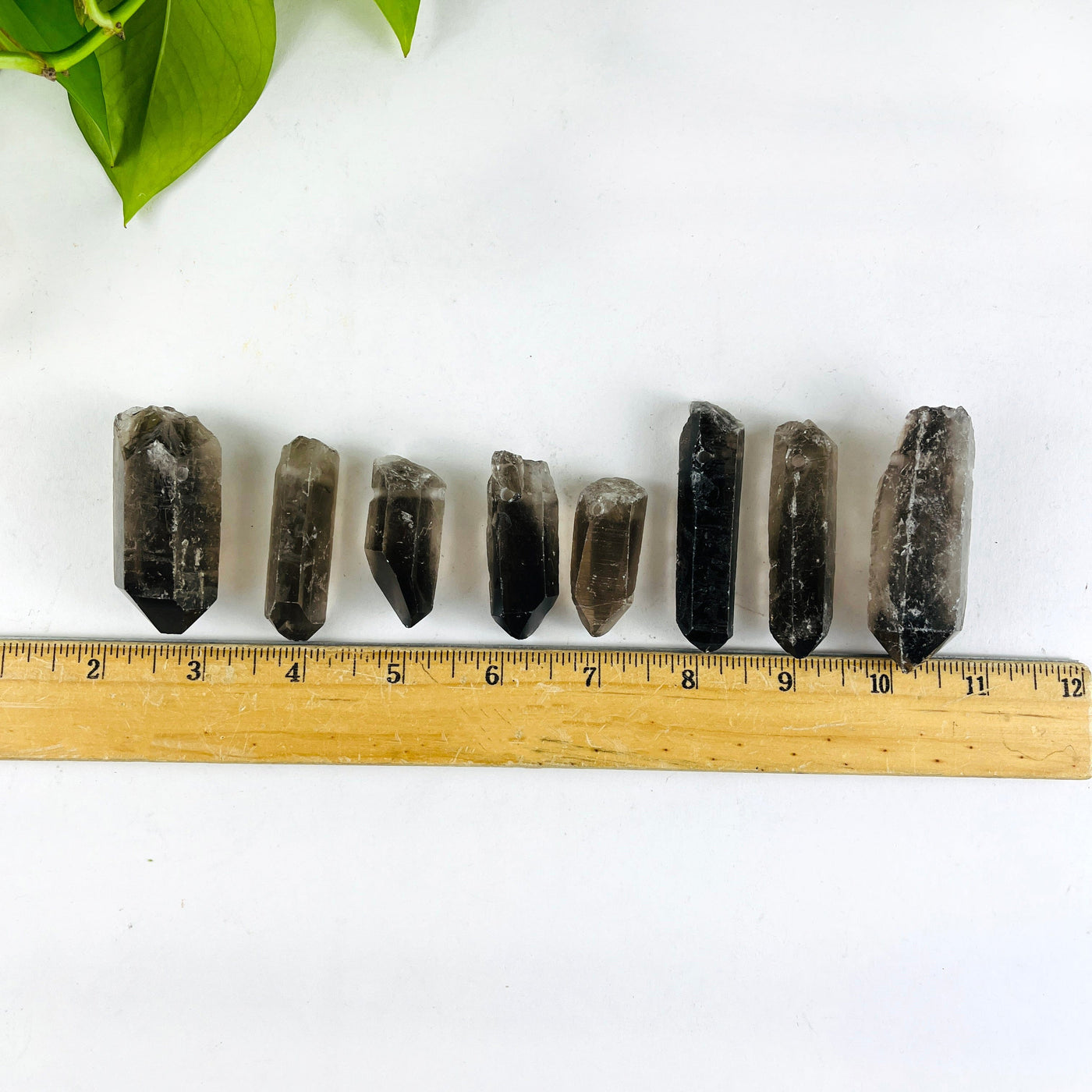 8 Raw Smoky Quartz Crystal Point Pendants with a ruler for size reference