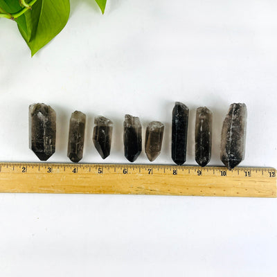 8 Raw Smoky Quartz Crystal Point Pendants with a ruler for size reference