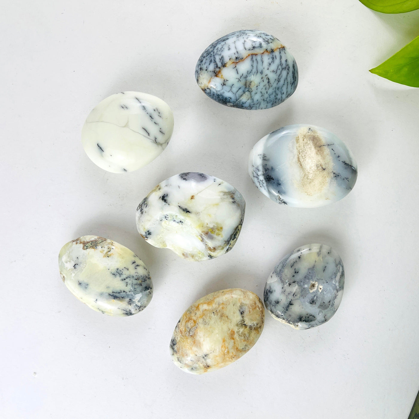 7 Dendritic Opal Crystal Polished Palm Stones