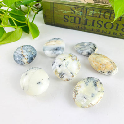 7 Dendritic Opal Crystal Polished Palm Stones on a table