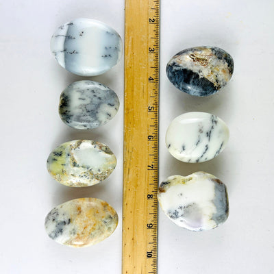 7 Dendritic Opal Crystal Polished Palm Stones next to a ruler for size reference
