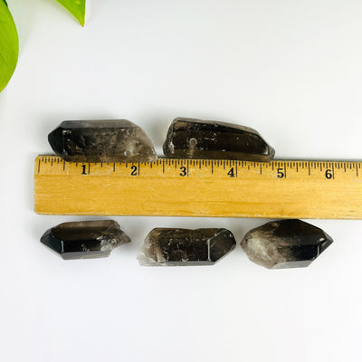 Jumbo Smoky Quartz Crystal Polished Point Drilled Pendants next to  ruler for size reference of stock avaialable