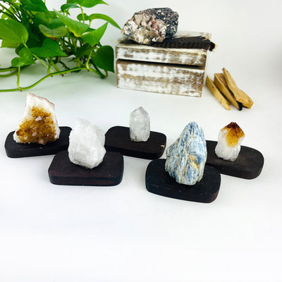 5 Crystals on Wood Base 